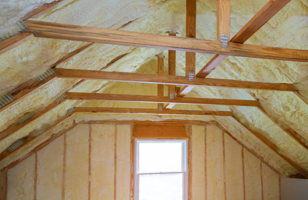 Best Commercial Insulation Contractor  in Loma, CO