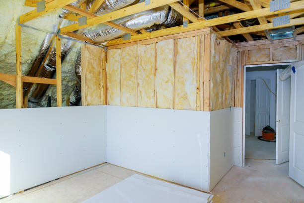 Best Insulation Inspection Services  in Loma, CO