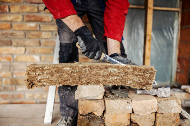 Best Attic Insulation Installation  in Loma, CO