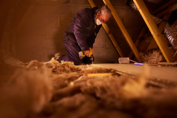 Insulation Repair Services in Loma, CO